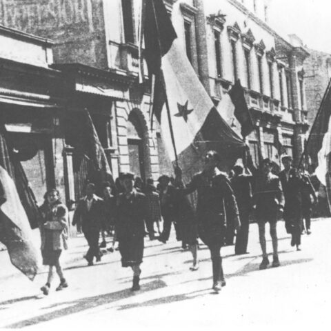 20-013 Gorizia, 1 maggio 1945, manifestazione filojugoslava